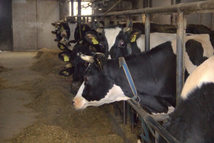 usługi utylizacyjne, dofinansowanie ARiMR, wsparcie dla rolnictwa