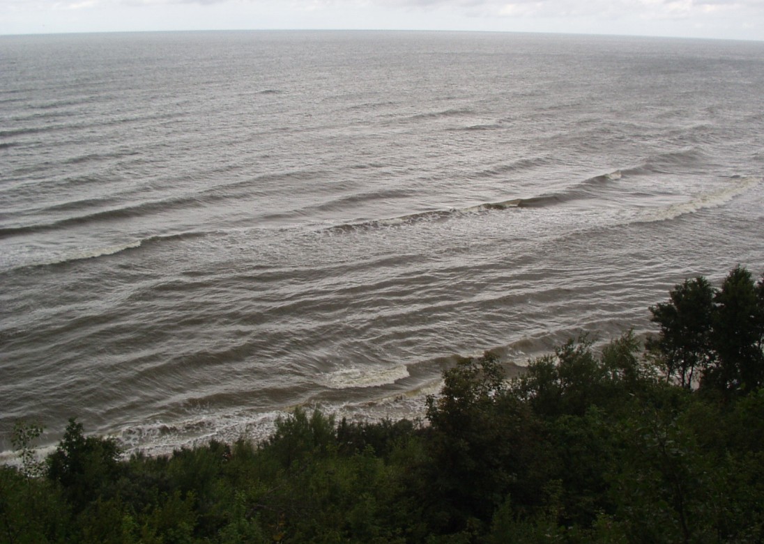 Morze Bałtyckie, Bałtyk, zanieczyszczenie Bałtyku, projekt Marelitt Baltic, oczyszczanie Bałtyku