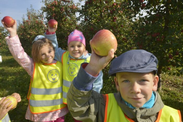 program owoce i warzywa w szkole, program mleko w szkole, zdrowe żywienie, phil hogan, komisja europejska