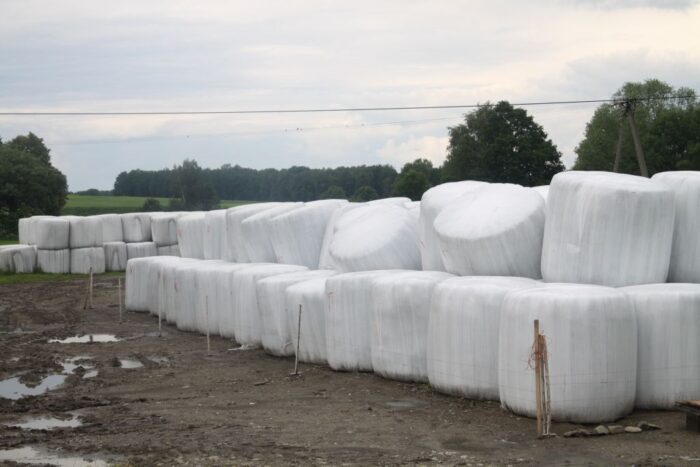 Opolski Ośrodek Doradztwa Rolniczego, Łosiowo, henryk zamojski