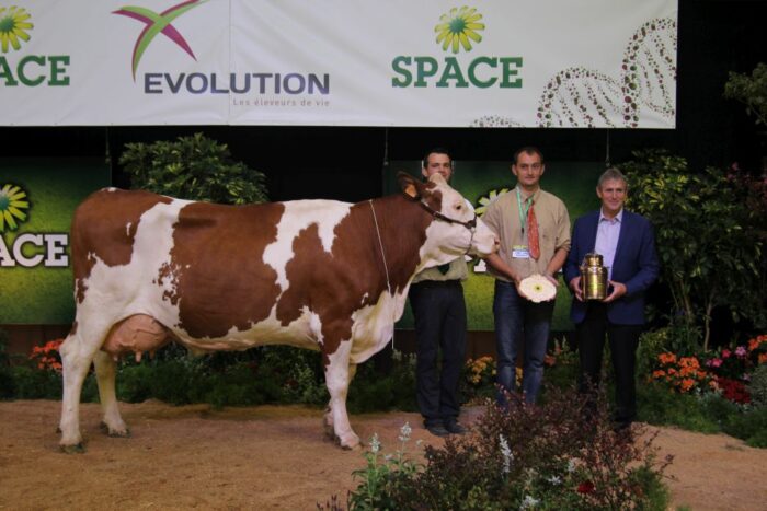 space 2015, zwierzęta hodowlane, Francja, Rennes