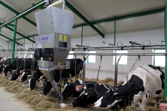 obora_stanowiskowa_suchowola