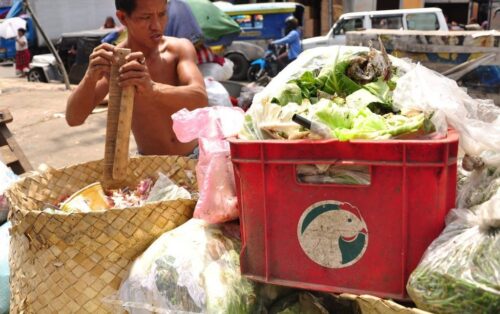 Organizacja Narodów Zjednoczonych ds. Wyżywienia i Rolnictwa, głód, ubóstwo