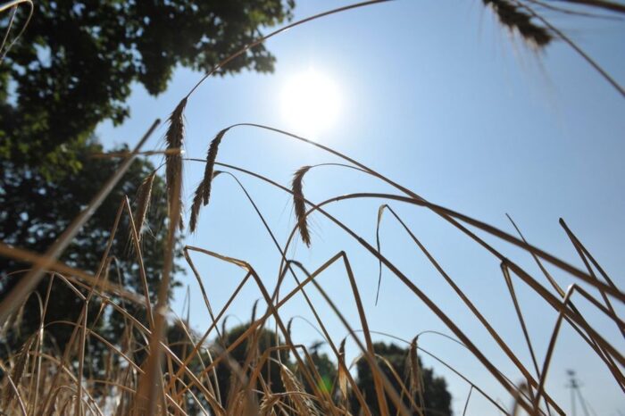 Instytut Uprawy Nawożenia i Gleboznawstwa, Klimatyczny Bilans Wodny, susza rolnicza