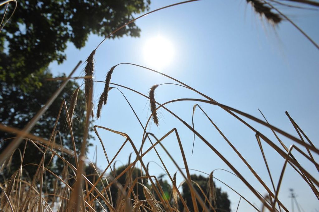 Instytut Uprawy Nawożenia i Gleboznawstwa, Klimatyczny Bilans Wodny, susza rolnicza