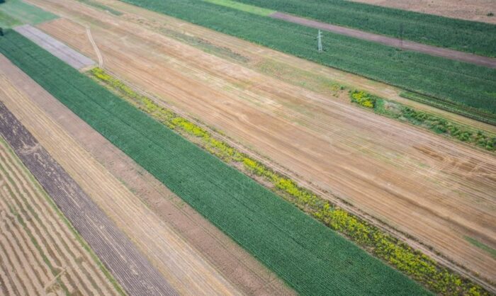 ochrona gruntów rolnych i leśnych, andrzej duda, marszałkowie województw