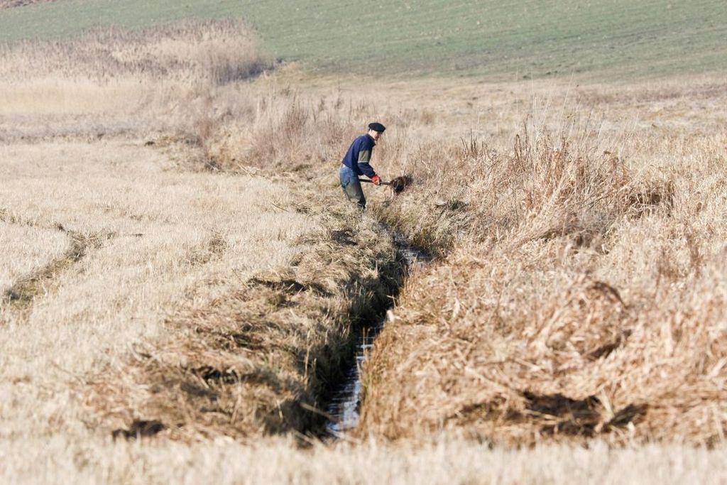 Opolskie Forum Mikroretencji, Sieć rowów melioracyjnych, opolszczyzna