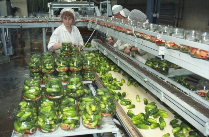 maszyny sortujące owoce i warzywa, sorter radom, edgar klusa