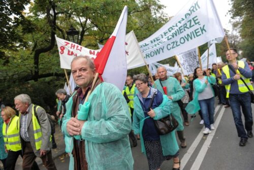 Uniwersytet Przyrodniczy we Wrocławiu, Błażej Dolniak, Vet Stem Cell