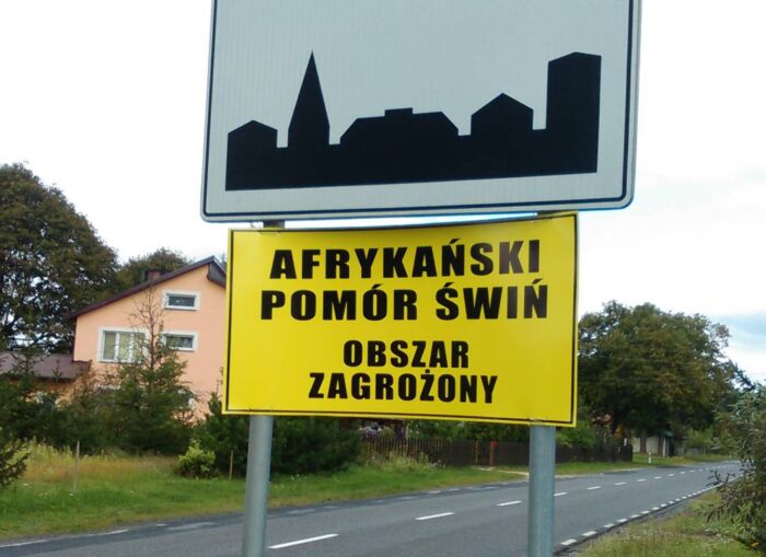 afrykański pomór świń, asf, trzoda chlewna, handel trzodą chlewną, podlaska izba rolnicza