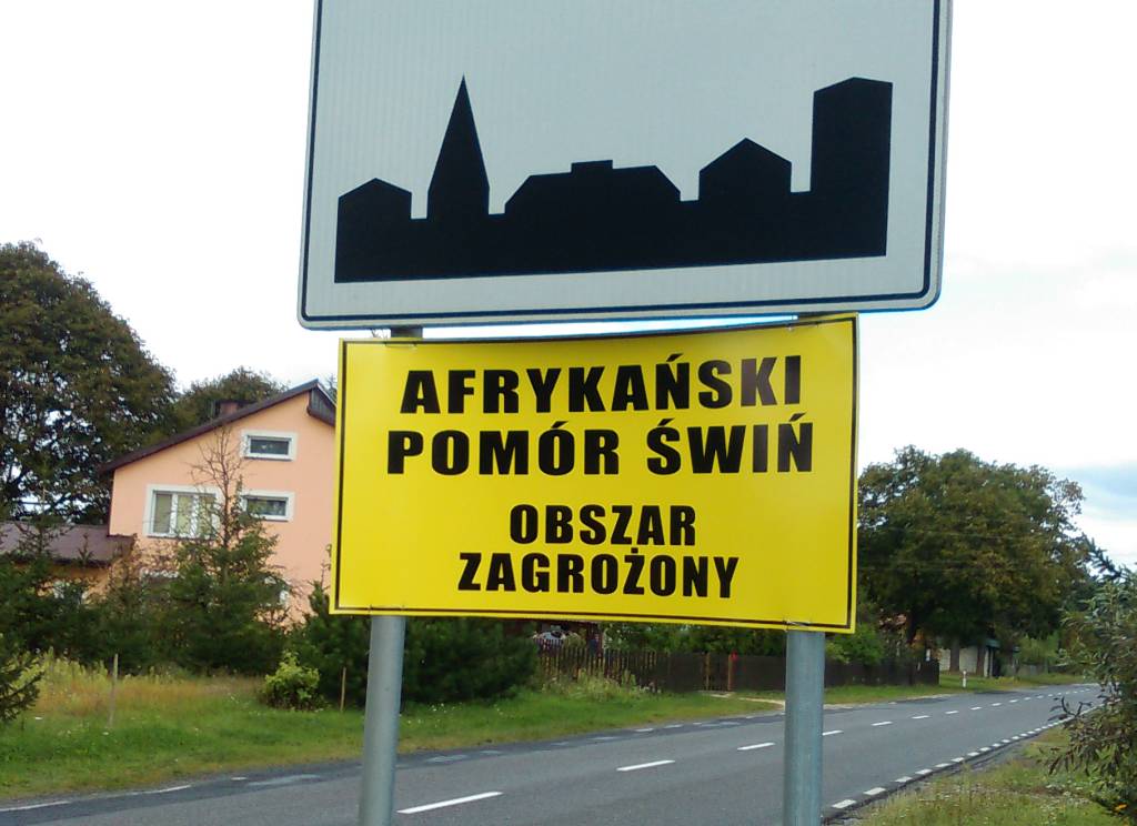 afrykański pomór świń, asf, trzoda chlewna, handel trzodą chlewną, podlaska izba rolnicza