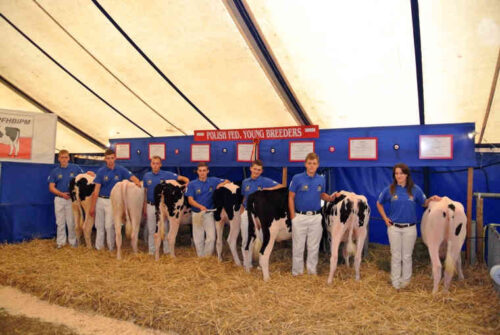 Europejska Szkoła Młodych Hodowców