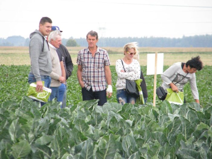 główny urząd statystyczny, ankieterzy GUS, ziemiopłody