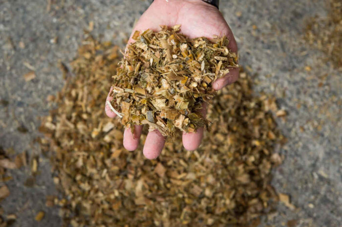 kiszonka, śruta, pasza, silos, przechowywanie