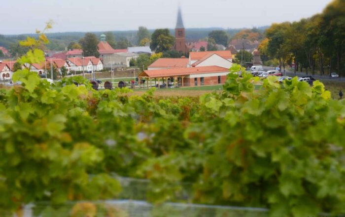 lubuskie_centrum_winiarstwa