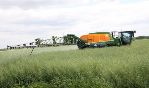 Oprykiwacz samojezdny Amazone Pantera 4502 - praca w polu