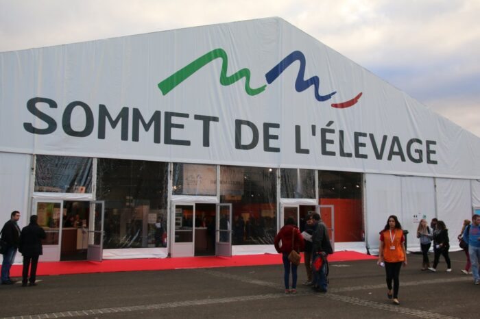 sommet targi bydło cows