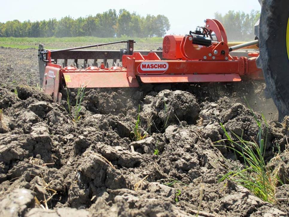 Brona aktywna Maschio Gaspardo Toro Rapido Plus