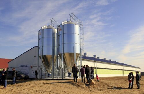 tuczarnia_tucz_kontraktowy