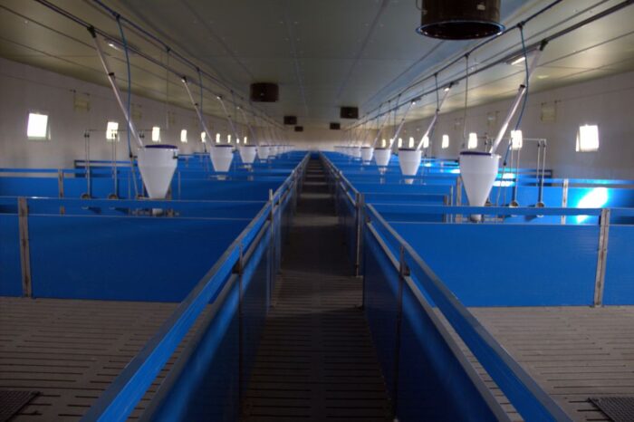 fermy przemysłowe, gmina kleczewo, Koalicja Społeczna Stop Fermom Przemysłowym, Ilona Rabizo