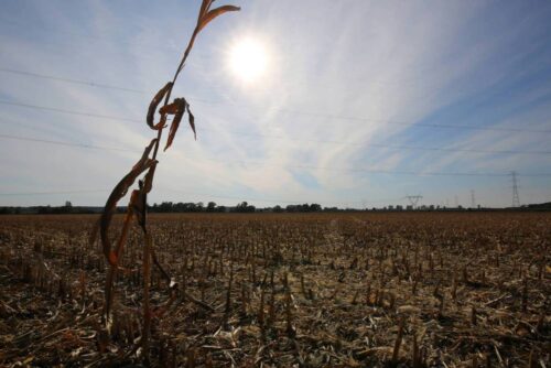 ubezpieczenie upraw, dopłata do składek ubezpieczenia, grad, wiosenne przymrozki, susza rolna, andrzej duda