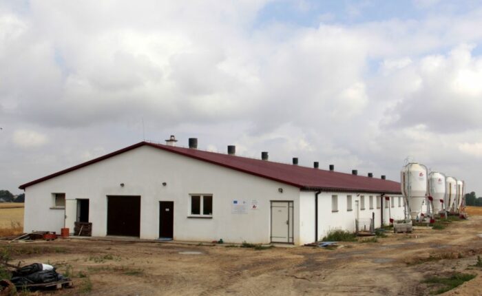 produkcja warchlaków, prosięta, trzoda chlewna, maciory