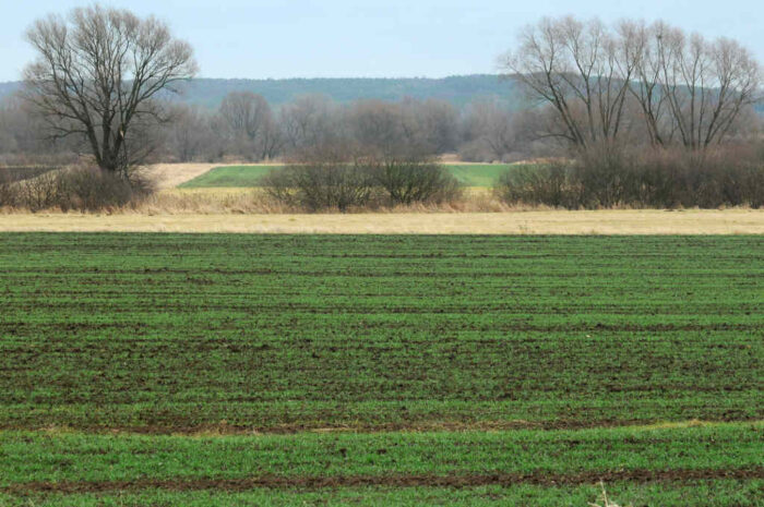 ziemia_zakup_dzierzawa