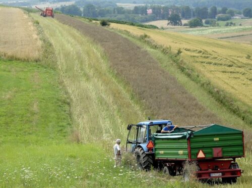 dopłaty bezpośrednie, Wspólna Polityka Rolna, Program Rozwoju Obszarów Wiejskich