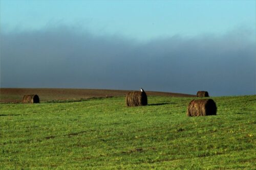 dopłaty do składek ubezpieczeń rolnych, prawo i sprawiedliwość, dopłaty z budżetu państwa