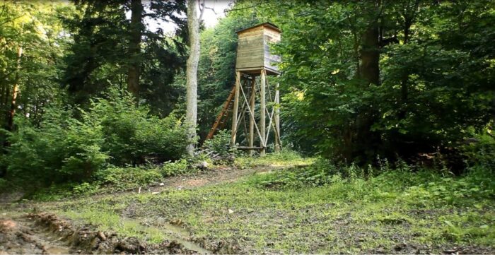 myśliwi, ambona, las