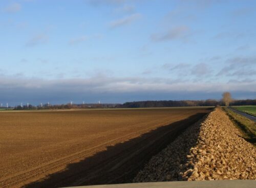 buraki_cukrowe_kontraktacja