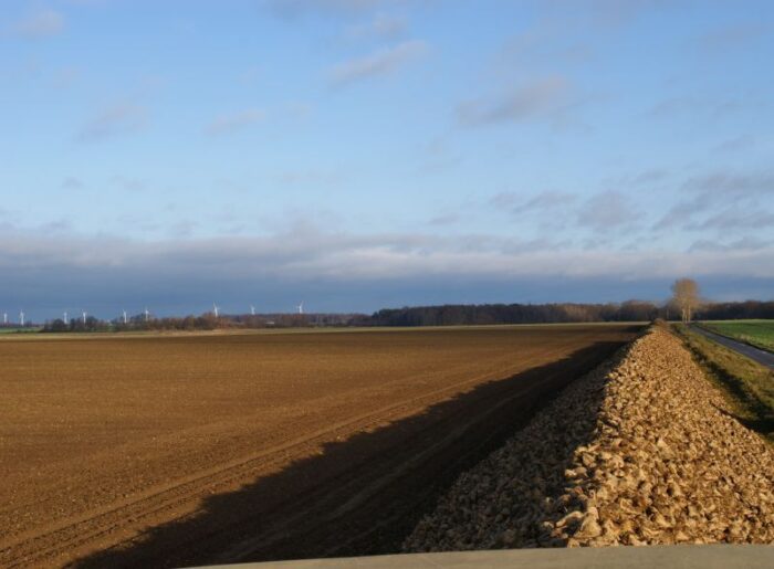 buraki_cukrowe_kontraktacja