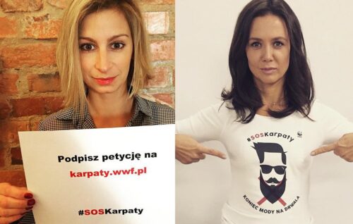 WWF, ekolodzy, wycinka drzew, Puszcza Karpacka, Karpaty, celebryci