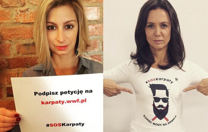 WWF, ekolodzy, wycinka drzew, Puszcza Karpacka, Karpaty, celebryci