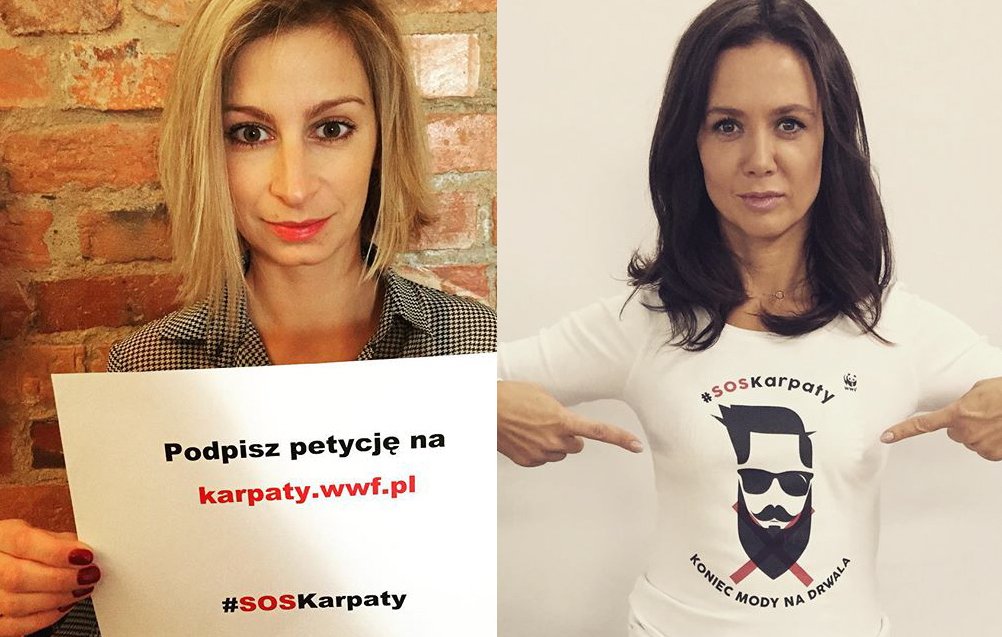 WWF, ekolodzy, wycinka drzew, Puszcza Karpacka, Karpaty, celebryci