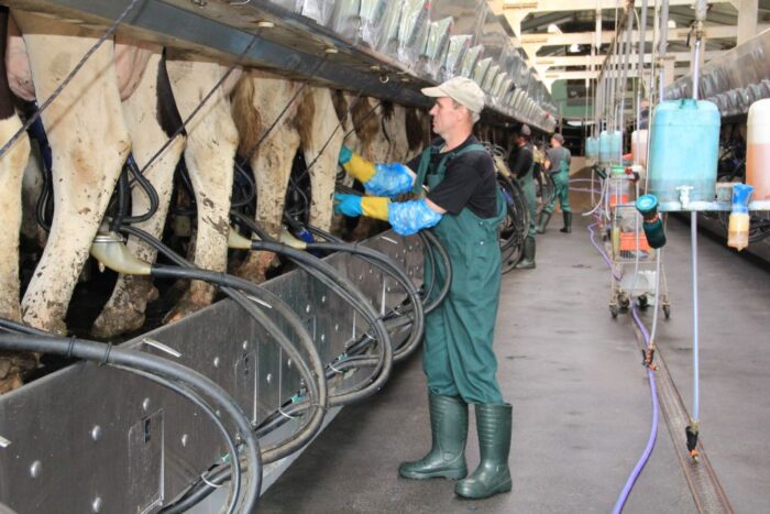 polskie mleko eksport, Republika Indonezji