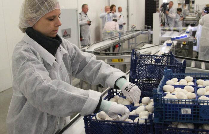 eksport,opolskie,biznes,żywność,handel,Opolszczyzna,agrobiznes