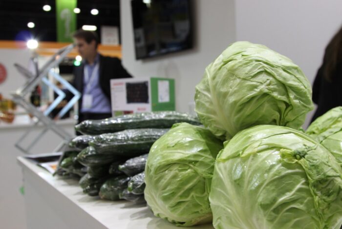 eksport,żywność,pomorskie,BZ WBK,biznes,handel,firma