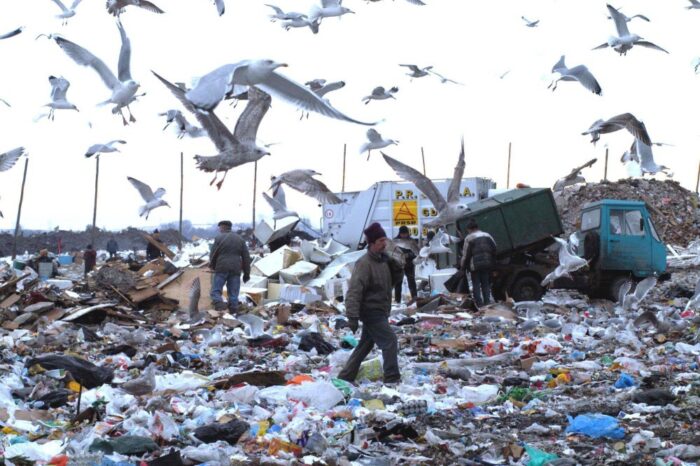 Zakład Utylizacyjny w Gdańsku, cezary maciejewski, produkcja kompostu z odpadów mokrych