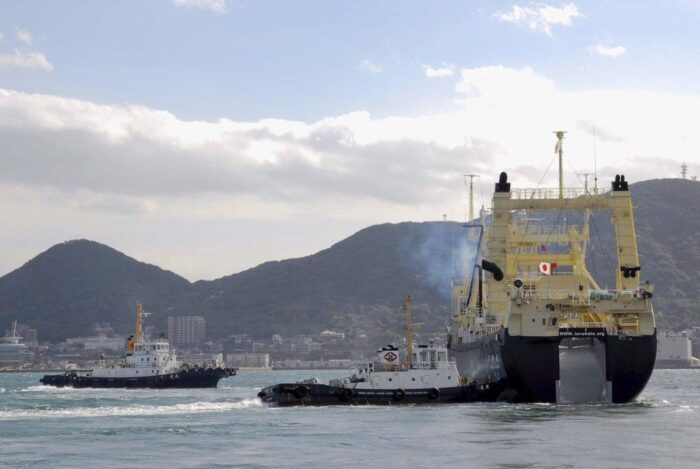 Japonia, wieloryby, MTS, naukowe połowy wielorybów, Japończycy