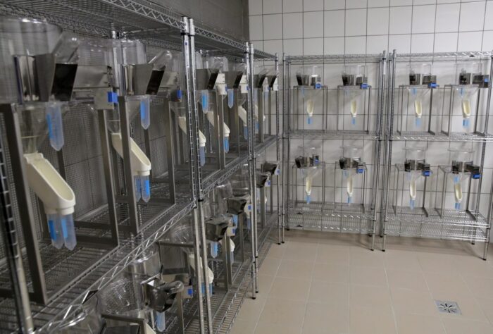 mięso z laboratorium, Singapur, mięso drobiowe z laboratorium, restauracje, Eat Just