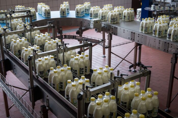 mleczarstwo, eksport, rynek indonzyjski