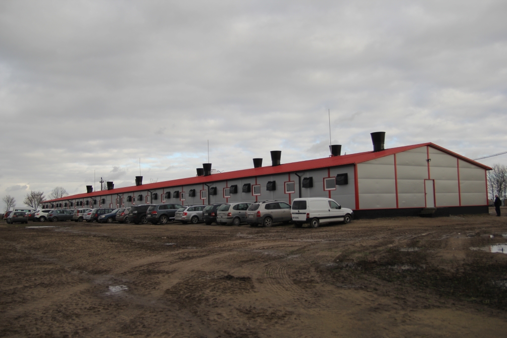 tuczarnia, tuczniki, de heus, trzoda chlewna