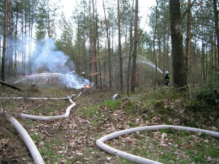 pożary lasów, regionalna dyrekcja lasów, białystok