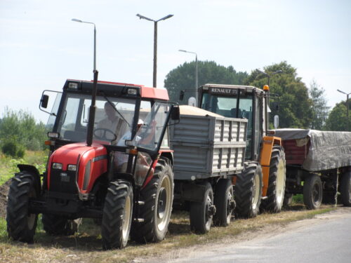 skup zboża, ceny zbóż, izba zbożowo-paszowa