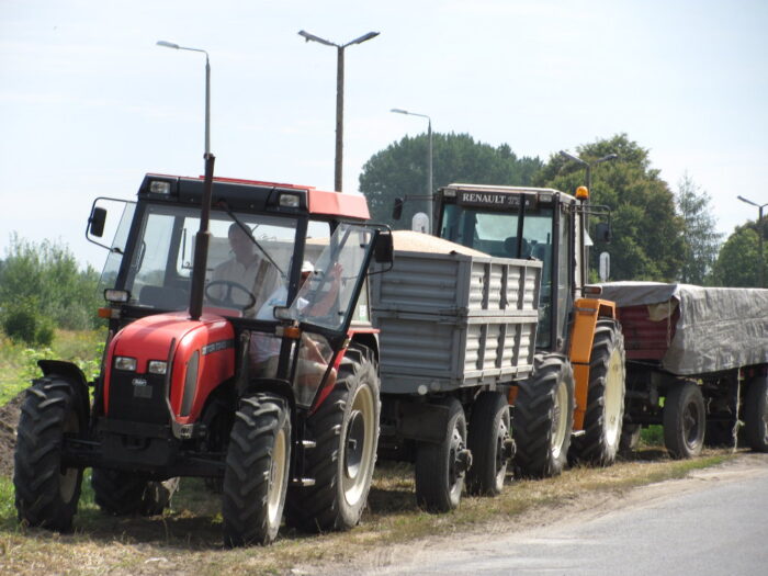 skup zboża, ceny zbóż, izba zbożowo-paszowa