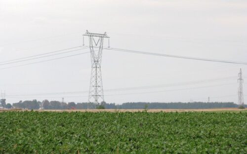 prąd,energia,słupy energetyczne,rolnicy,rolnictwo