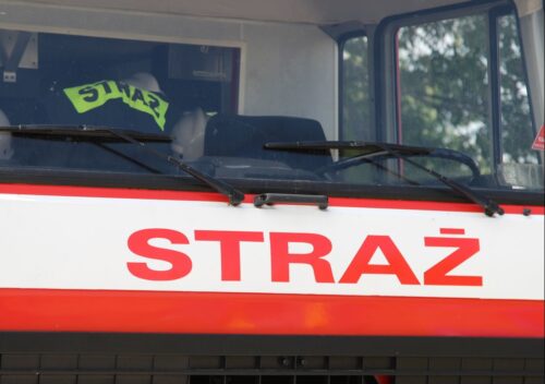straz pożarna, pożar, zagrożenie, strusie, straty, ferma strusi, Nowoberezowo