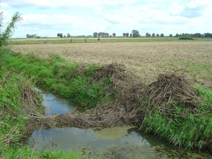 szkody łowieckie, prawo łowieckie, odszkodowania