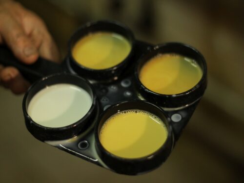 mastitis, krowy mleczne, wymię, liczba komórek somatycznych